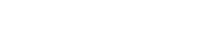 Distribuidor Oficial Intt